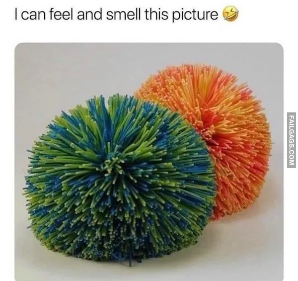 Funny Millennials Meme (5)