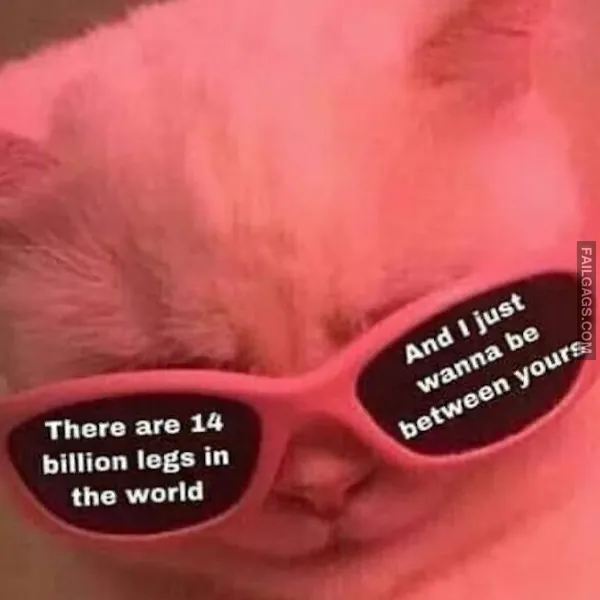 Funny Sex Memes (11)