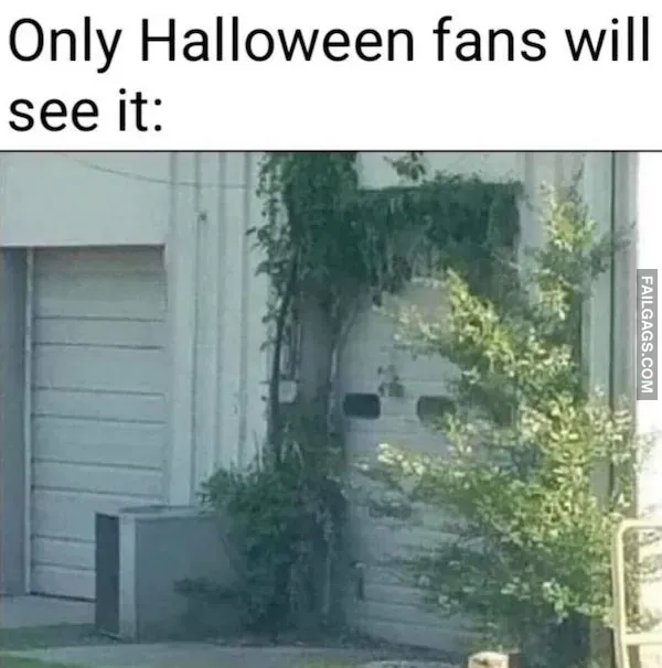 Halloween Memes (4)