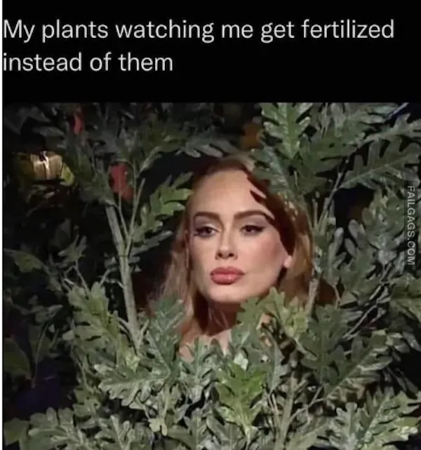 Indian NSFW Memes (2)