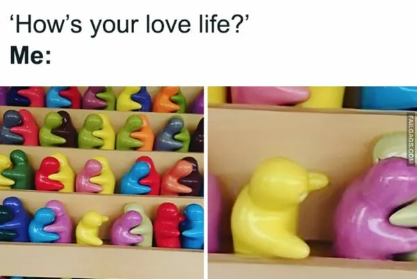 Introvert Memes (10)