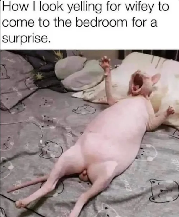 Married Men Memes (6)