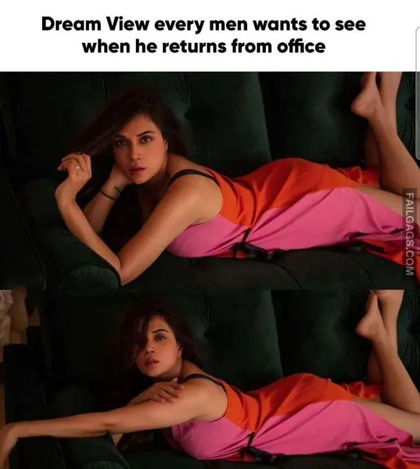 Desi Sex Memes (4)