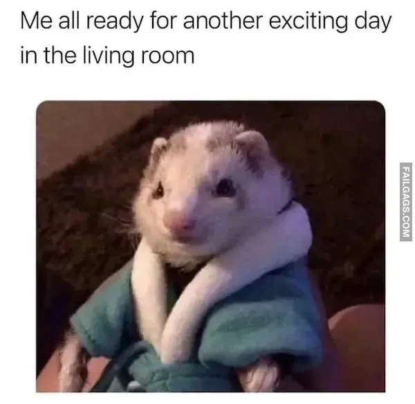 Introverted Memes (9)