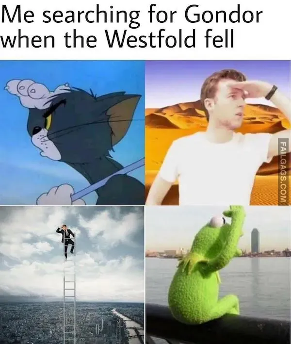 Lord of the Rings Memes (10)