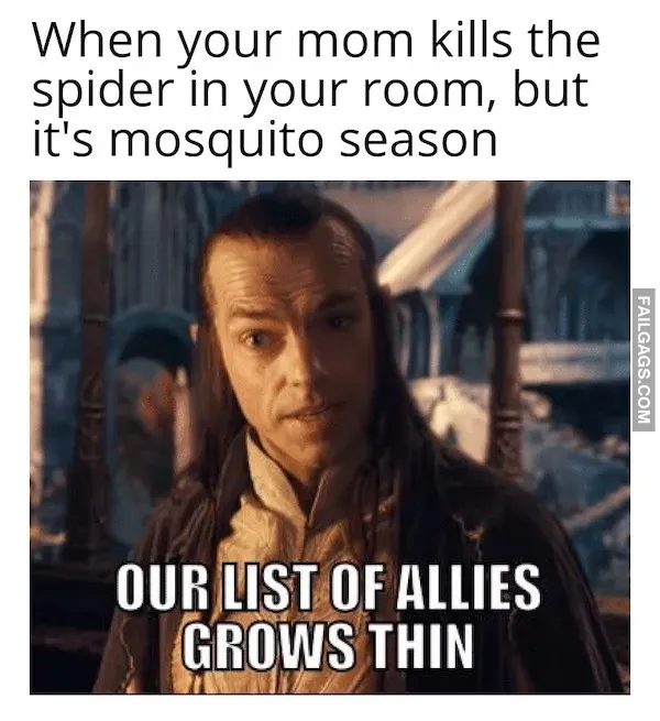 Lord of the Rings Memes (12)