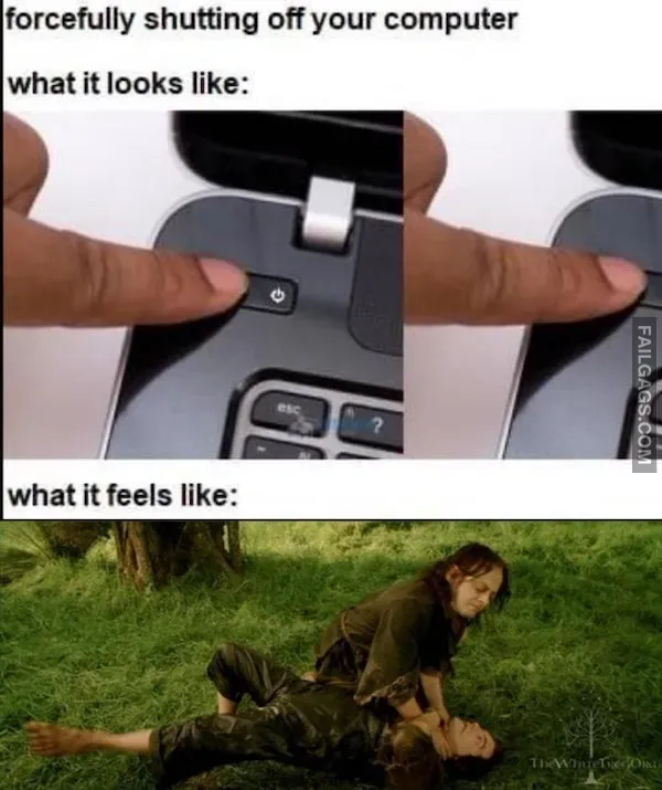 Lord of the Rings Memes (7)