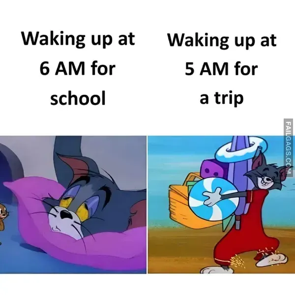 12 Funny Memes That Will Make You Laugh (4)