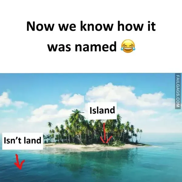 12 Funny Memes That Will Make You Laugh (5)