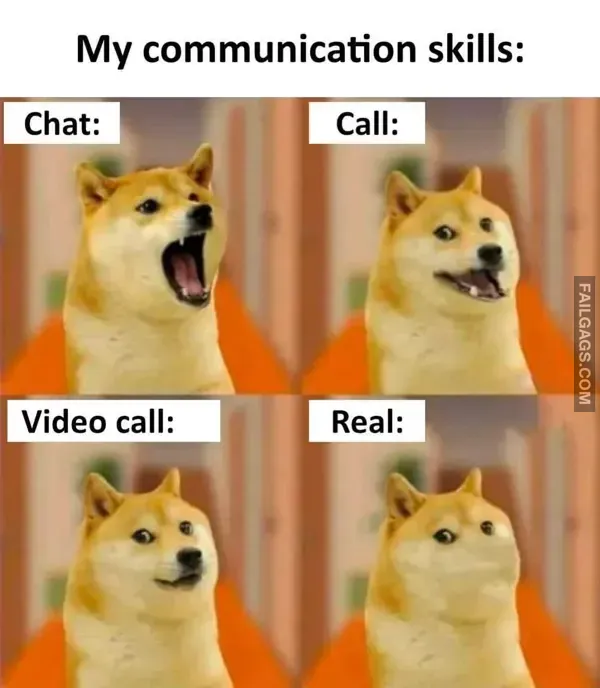 12 Funny Memes That Will Make You Laugh (9)