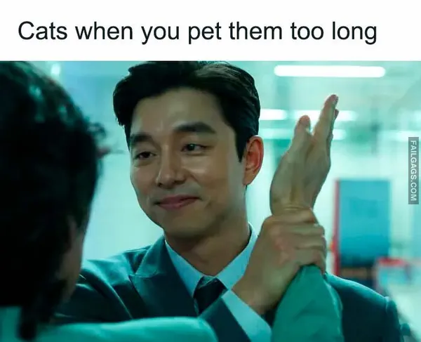 12 Sarcastic Memes to Light Up Your Day (12)