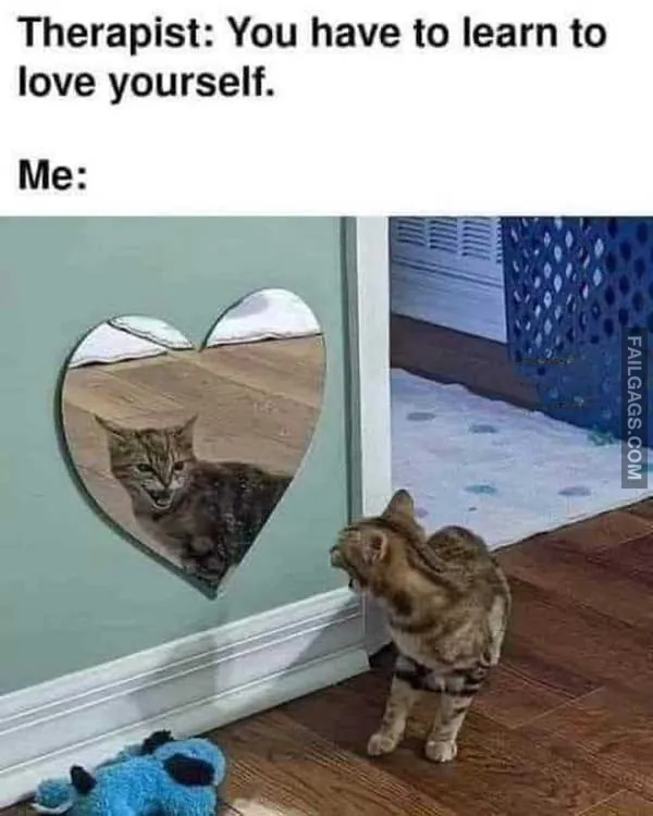 13 Mental Health Memes That Are Both Funny and Sad (2)