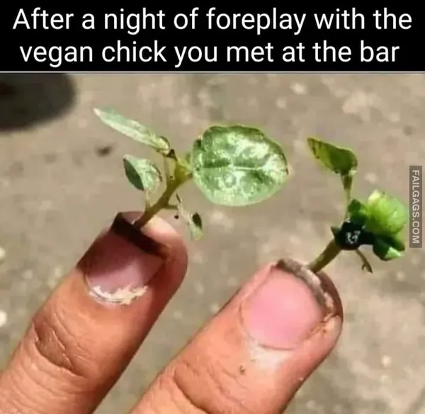 14 Dirty Memes for the Dirty Minded (13)