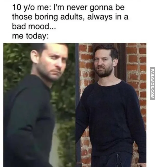 14 Funny Memes to Get You Through the Day (12)