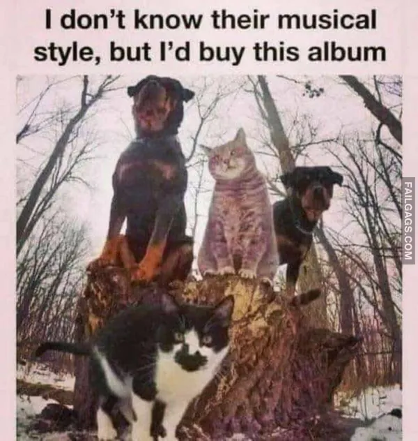 14 Funny Memes to Get You Through the Day (9)