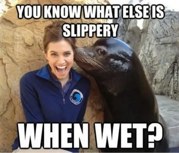 14 NSFW Memes Only Men Will Understand (4)