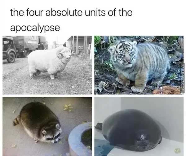 15 Animal memes To Keep You Smiling Today (2)