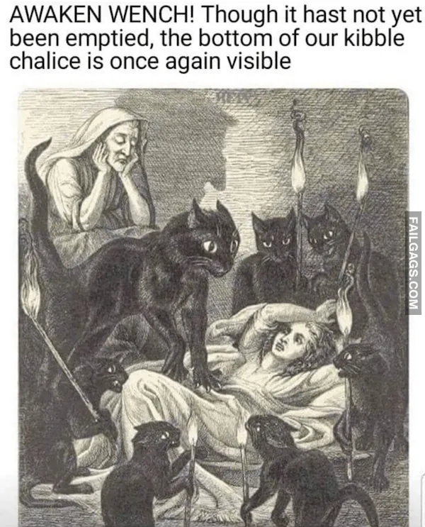 15 Animal memes To Keep You Smiling Today (3)