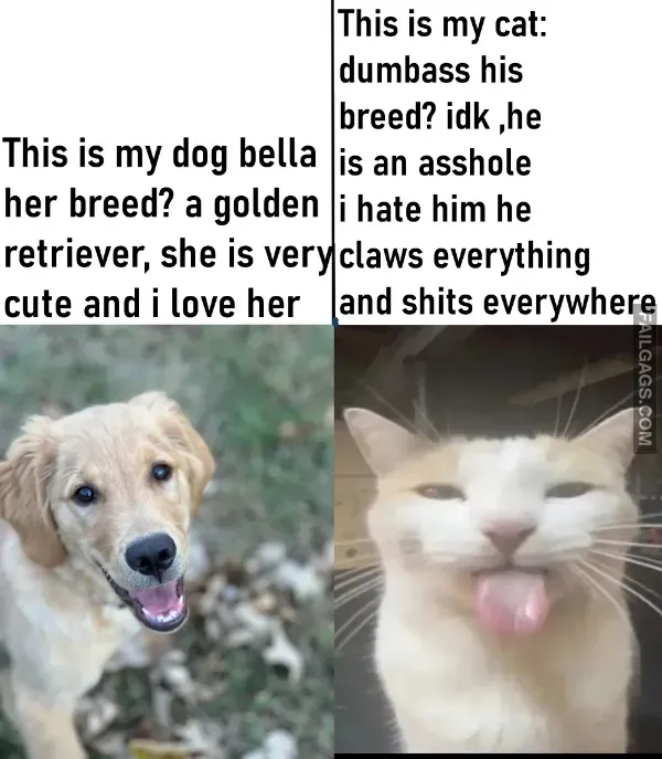 16 Dank Memes That Will Blast Your Mind (5)