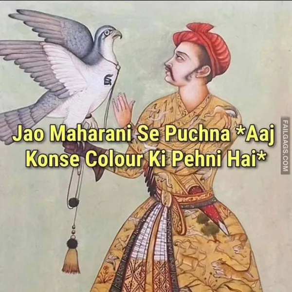 Desi Sex Memes (9)