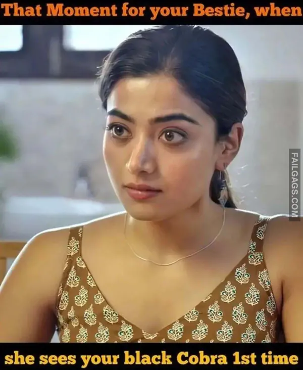 Double Meaning Memes (7)