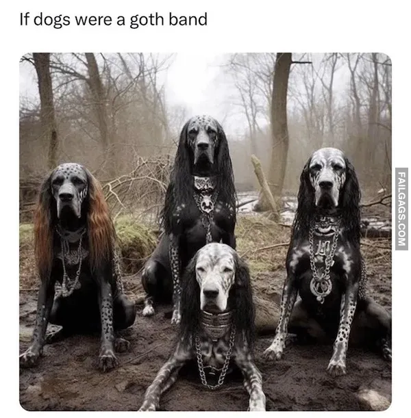 Hilarious Dog Memes (9)