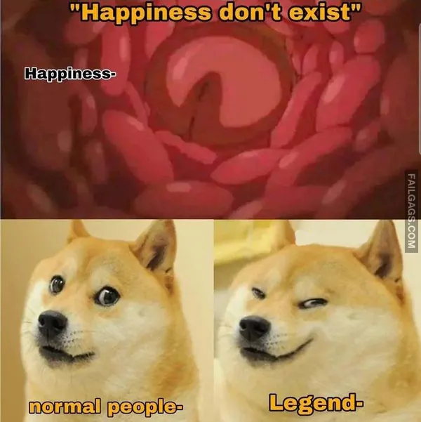 Hot Indian Memes (6)