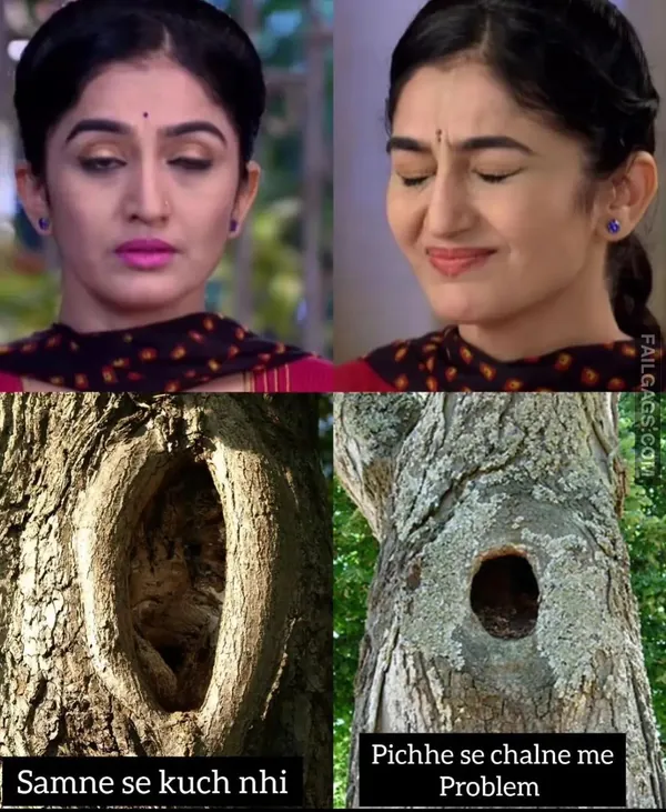 Taarak Mehta Ka Ooltah Chashmah Sex Memes (8)