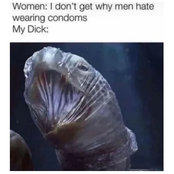 11 Adult Memes That Aren’t for Innocent Minds (1)