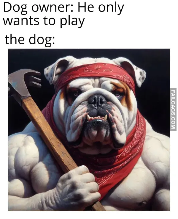 11 Dank Memes That Will Make You Laugh (10)