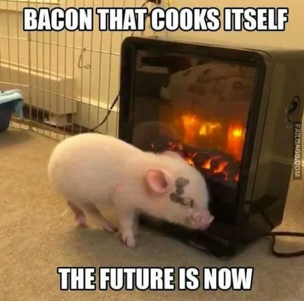 11 Funny Memes That Will Make You Laugh (10)