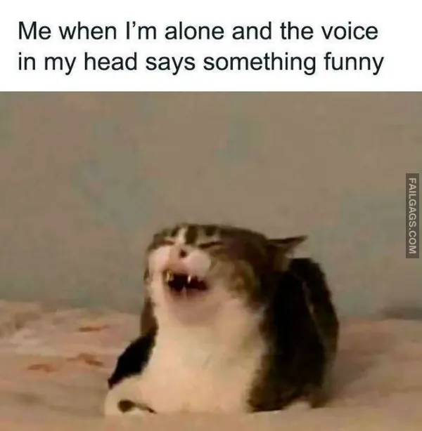 11 Funny Memes That Will Make You Laugh (4)