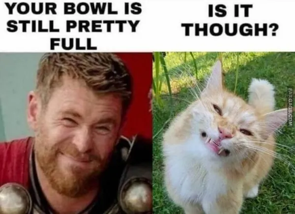 11 Funny Memes That Will Make You Laugh (6)