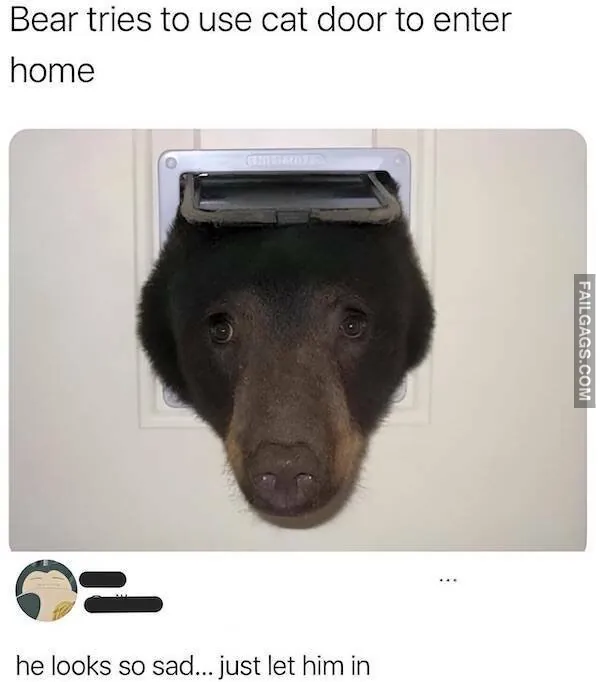 11 Funny Memes That Will Make You Laugh (9)