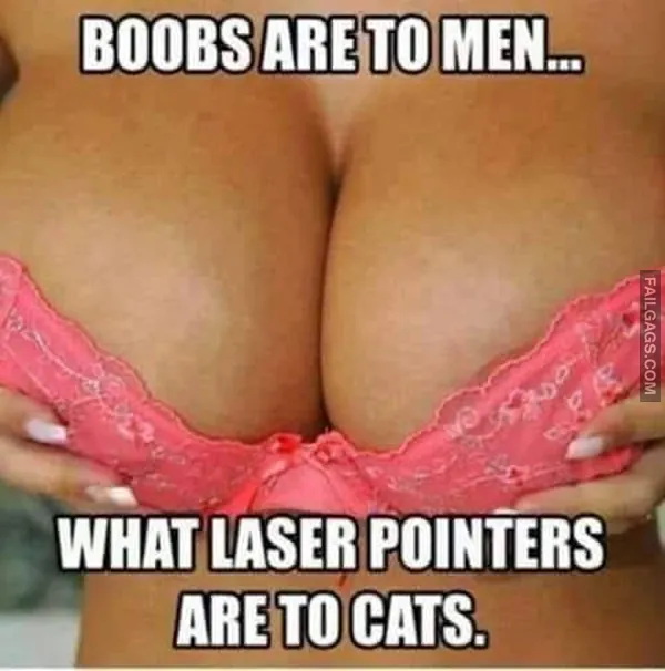 11 Sex Memes That Are Every Bit as Dirty as They Are Funny (4)