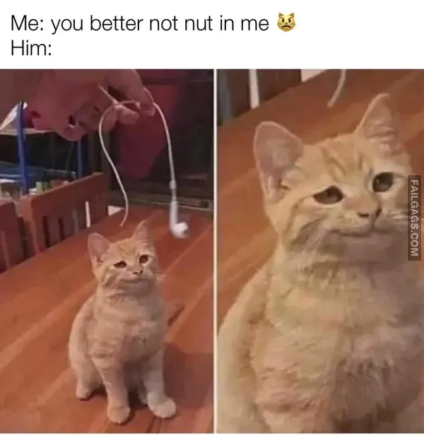 11 Sex Memes That Are Every Bit as Dirty as They Are Funny (7)