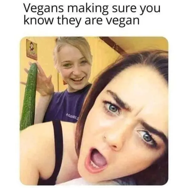 11 Sex Memes for Mildly Twisted Minds (1)