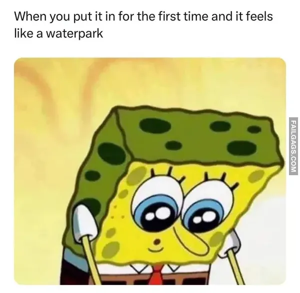 11 Sex Memes for Mildly Twisted Minds (7)