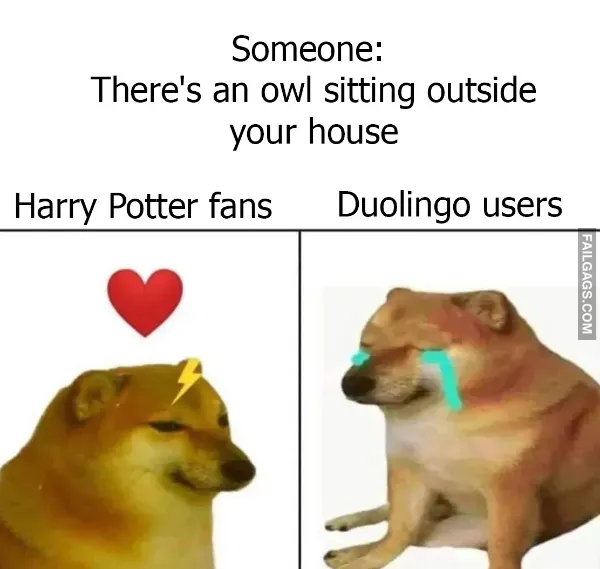 12 Dank Memes Are the Cure (12)