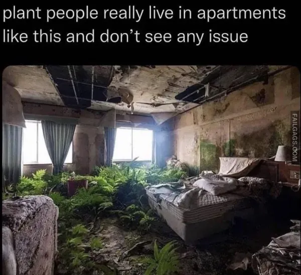 12 Funny Memes to Get You Through the Day (12)