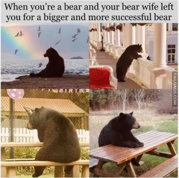 12 Funny Memes to Get You Through the Day (2)