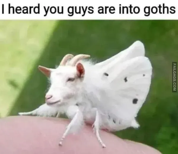 12 Funny Memes to Get You Through the Day (5)