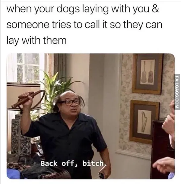 12 Funny Memes to Get You Through the Day (8)