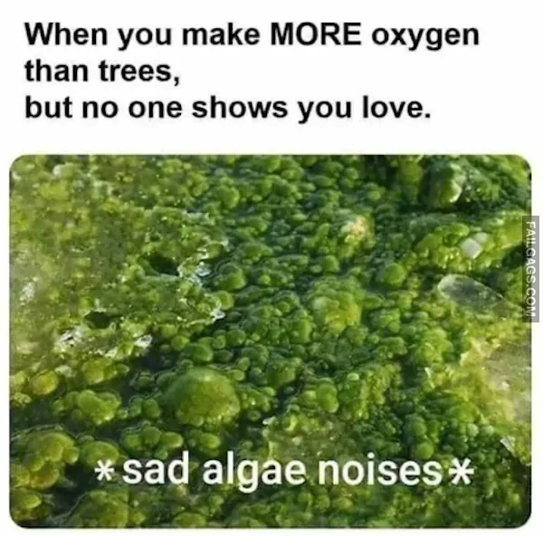 12 Hilarious Science Memes That Don't Require A PhD (10)