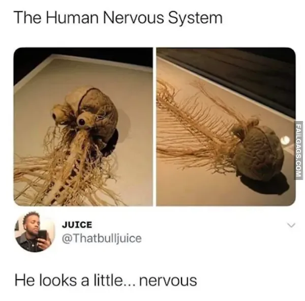 12 Hilarious Science Memes That Don't Require A PhD (11)