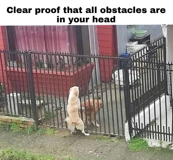 12 Spicy Memes for the Gutter minded (8)