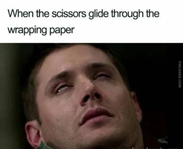 13 Christmas Memes That Deliver the Holiday Humor (2)