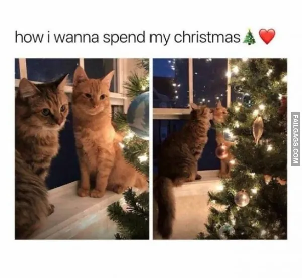 13 Christmas Memes That Deliver the Holiday Humor (4)