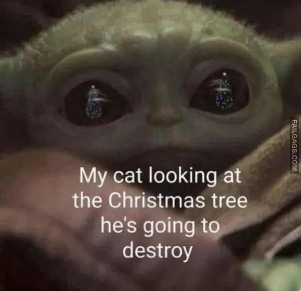 13 Christmas Memes That Deliver the Holiday Humor (6)