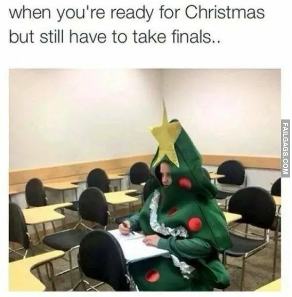 13 Christmas Memes That Deliver the Holiday Humor (7)